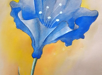 
                                                            nahid maghsoudi 14