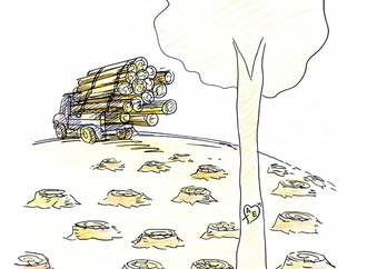 
                                                            muhammet sengoz turkey 36