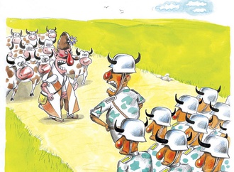 
                                                            ivailo tsvetkov bulgaria 46