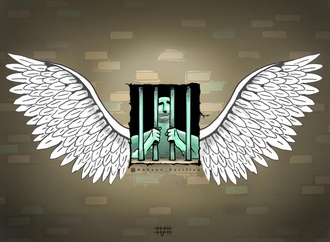 
                                                            mohsen zarifian 38