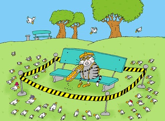 
                                                            nikolay vorontsov russia 78