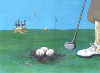 
                                                            eray ozbek turkey 56