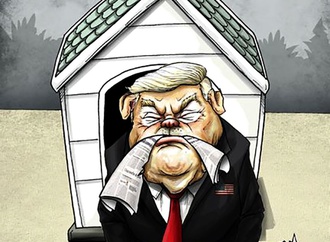 
                                                            antonio rodriguez mexico 72