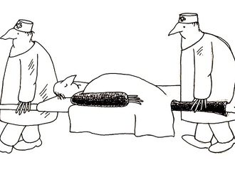 
                                                            horia crisan romania 73