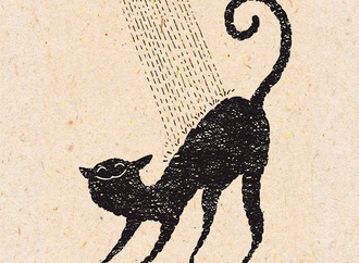 
                                                            salaman taheri iran76