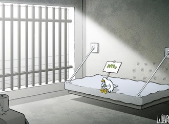 
                                                            glen le lievre 10