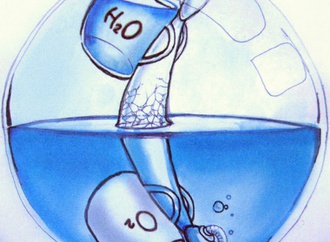 
                                                            song houngyang china