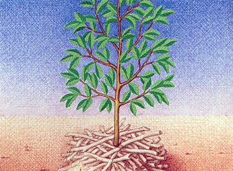 
                                                            gurbuz dogan eksioglu turkey 5