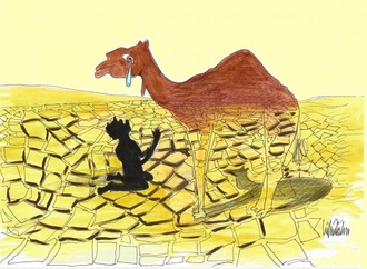 آب زندگی است