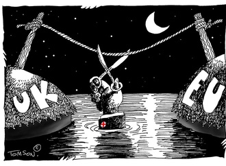 
                                                            tomasz woloszyn poland 47