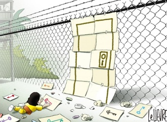 
                                                            glen le lievre 14