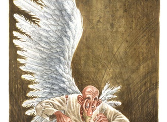 
                                                            jitet koestana7