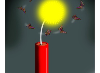 
                                                            toso borkovic serbia 1