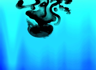 
                                                            mohammadreza doustmohammadi 3