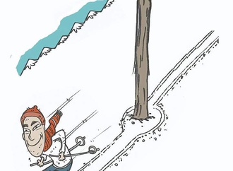 
                                                            roberto netto brazil 70