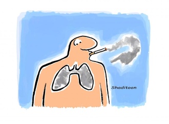
                                                            shaditoon 30