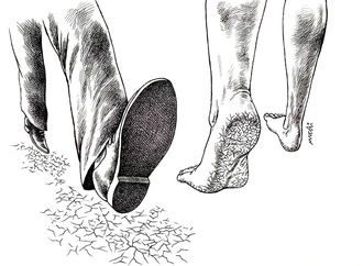 
                                                            medi belortaja albania 77