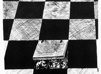 
                                                            roland topor 13