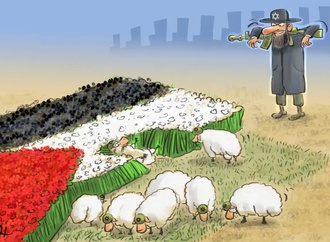 
                                                            mohammadali rajabi 4