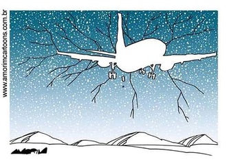 
                                                            carlos amorim brazil 42