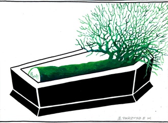 ireneusz parzyszek poland 31