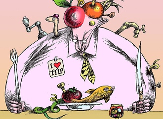 
                                                            lido contemori italy 11