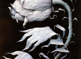 
                                                            wieslaw walkuski poland 11