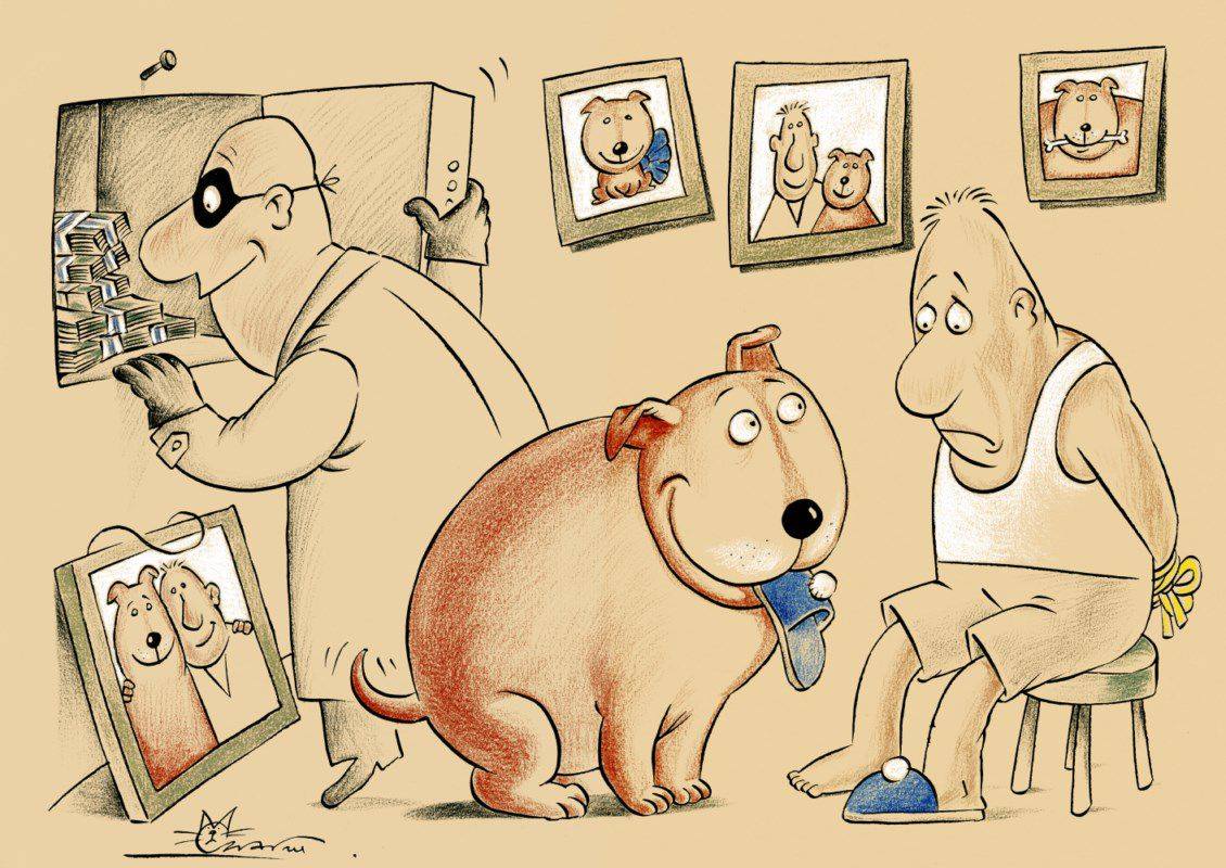 Глупый хозяин. Собака карикатура. Карикатуры про собак смешные. Карикатуры про собак и хозяев. Шарж с собакой.