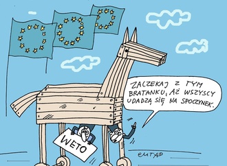 maciej trzepaka11
