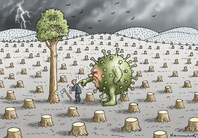 By: Marian Kamensky | Austria 