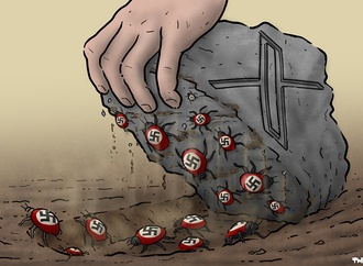 tjeerd royaards73