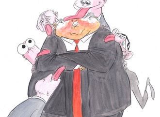 Gallery of Cartoons by Ann Telnaes From Sweden