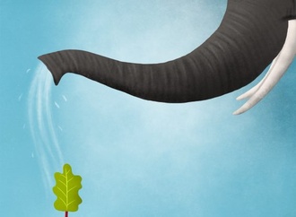 Gallery:6th International Rhubarb Cartoons Contest, Romania 2024