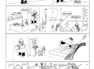 quino argentina17