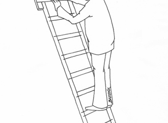 bartak ladder 36uz