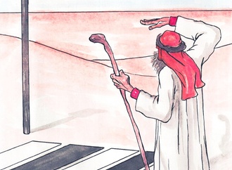 silvano mello8