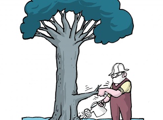 Tree care