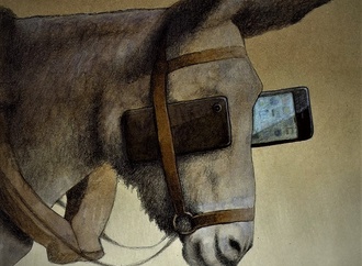 pawel kuczynski25