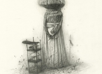 shaun tan 13