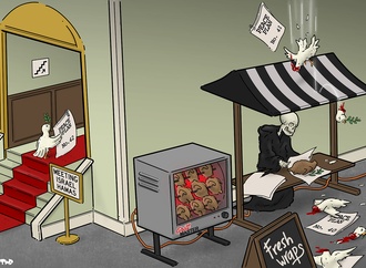tjeerd royaards83