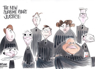 Gallery of Cartoons by Ann Telnaes From Sweden