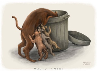 Gallery of CArtoon by Majid Amini-Iran