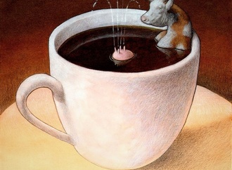 pawel kuczynski