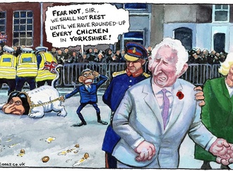 steve bell