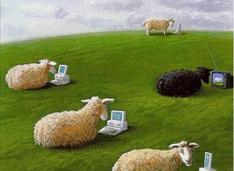 Sheeps,Computer,sheep
