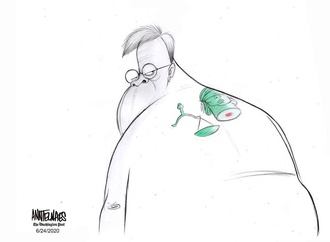 ann telnaes sweden 8