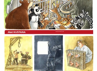 jitet koestana11