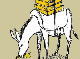 ali shabani iran 3