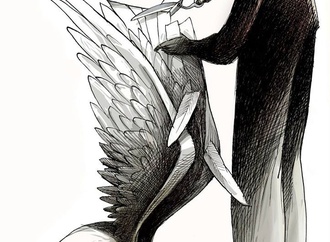 angel boligan mexico10