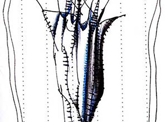 kambiz dearmbakhsh 270